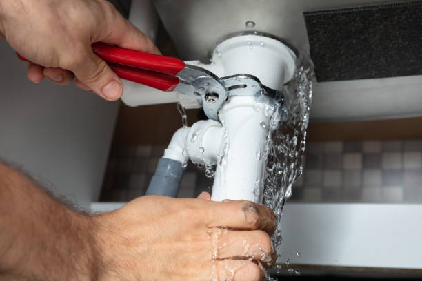 Best Flood restoration services  in Warm Mineral Springs, FL