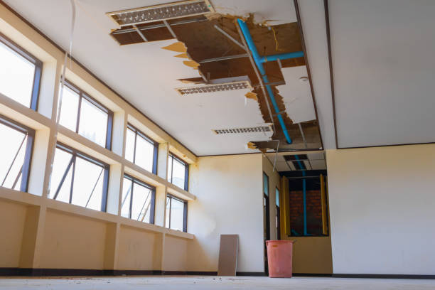 Best Professional water damage repair  in Warm Mineral Springs, FL