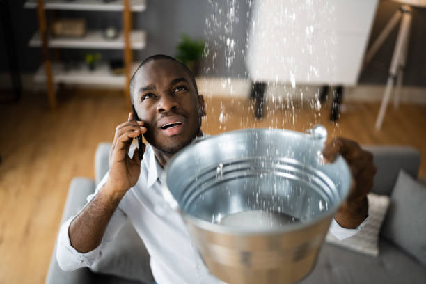 Best Flood damage cleanup  in Warm Mineral Springs, FL