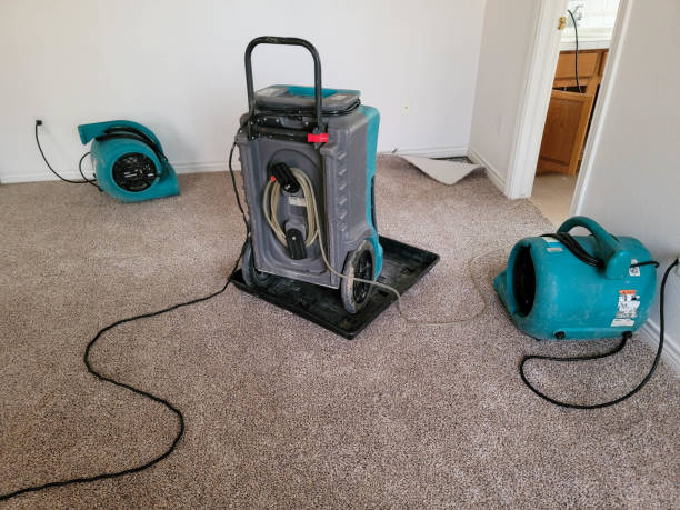Best 24-hour water damage restoration  in Warm Mineral Springs, FL
