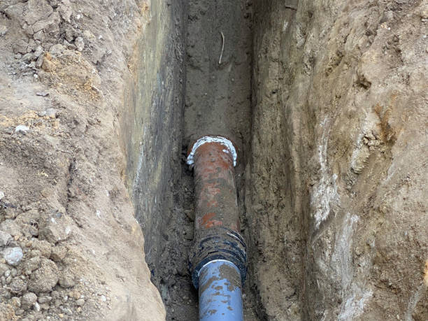Best Flood damage cleanup  in Warm Mineral Springs, FL