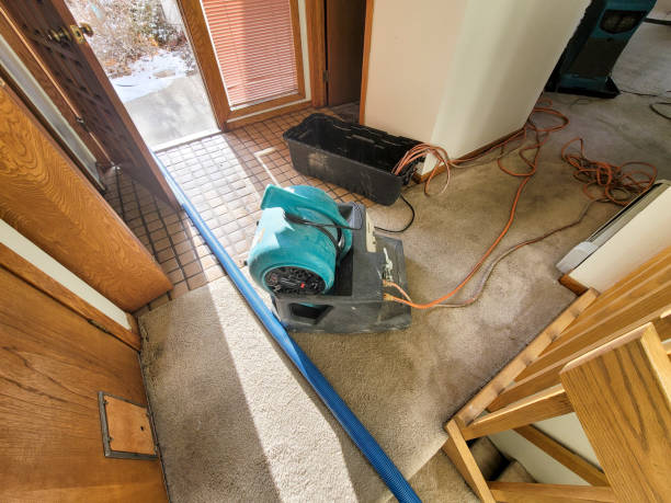 Best Water damage contractors near me  in Warm Mineral Springs, FL