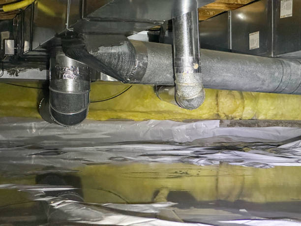 Best Water damage restoration cost  in Warm Mineral Springs, FL