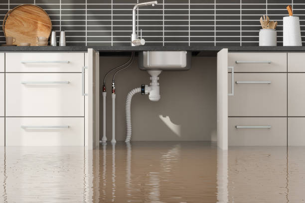  Warm Mineral Springs, FL Water damage restoration Pros