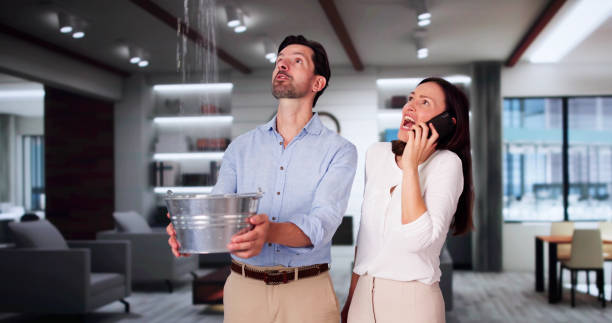 Best Mold removal after water damage  in Warm Mineral Springs, FL