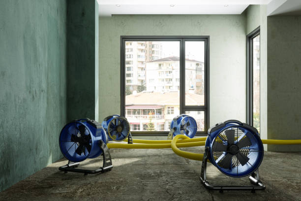 Best Water damage cleanup near me  in Warm Mineral Springs, FL